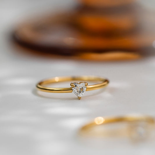 Affectionate Zircon Plain Ring In Fine Titanium Steel